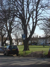 Georgian Square