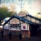 Kinema in the Woods