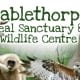 Mablethorpe Seal Sanctuary